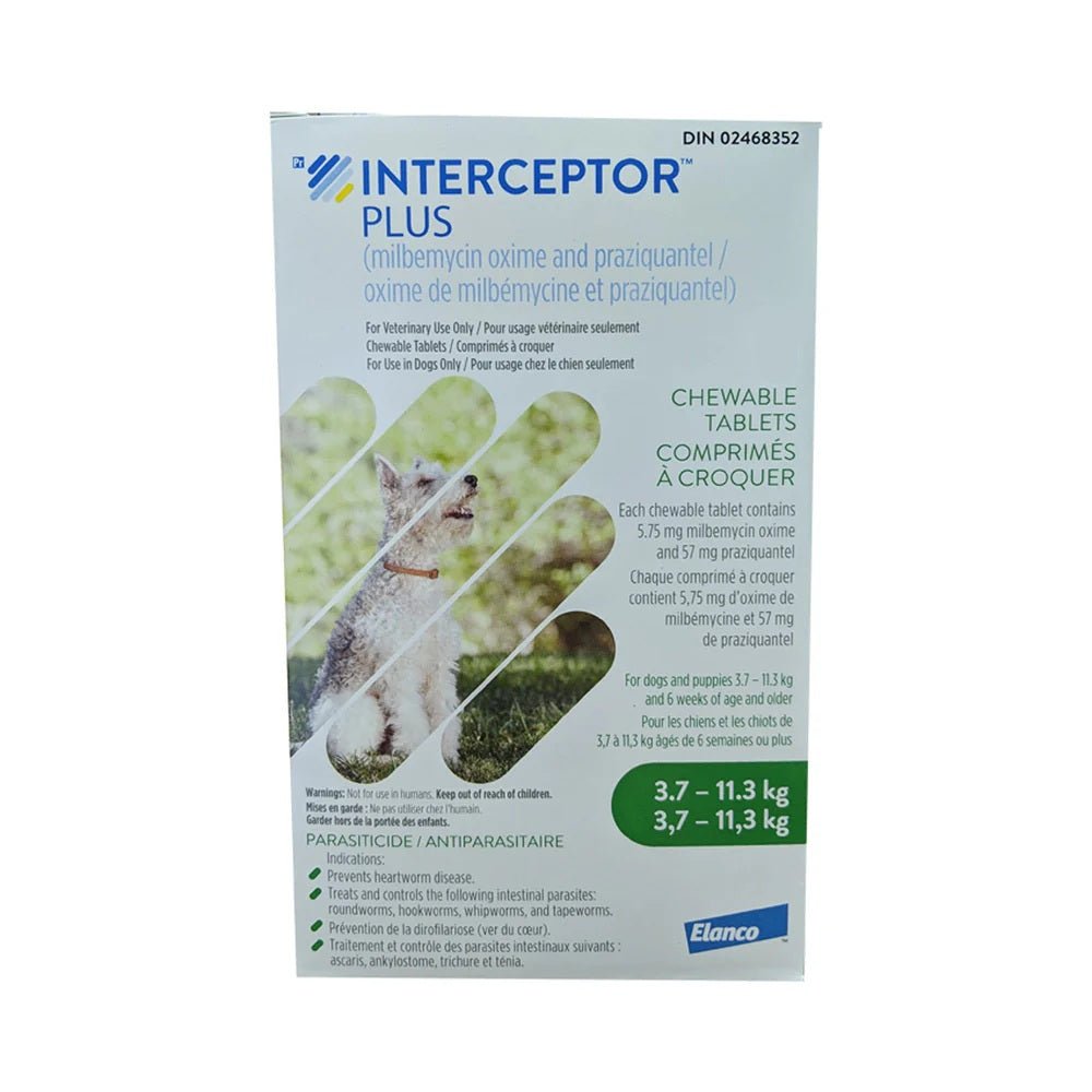Interceptor Plus Flavoured Tablet For Dogs 3.7 To 11.3 Kg (Green) - Pets Drug Mart