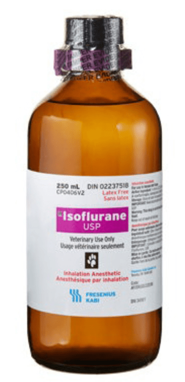 Isoflurane - Pets Drug Mart