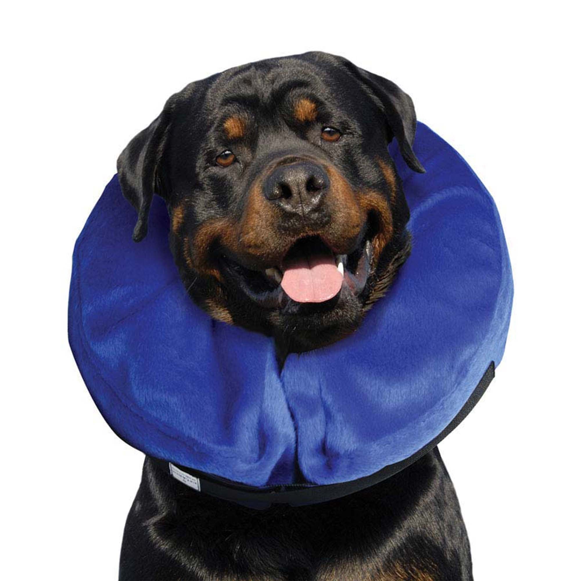 KONG Cloud Collar - Pets Drug Mart