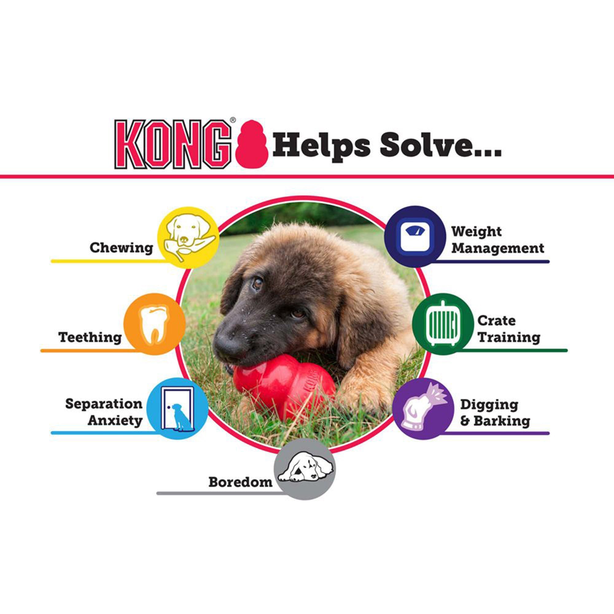 KONG Extreme Dog Toy - Pets Drug Mart