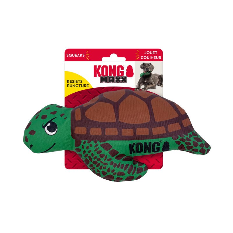 KONG Maxx Turtle Dog Toy - Pets Drug Mart