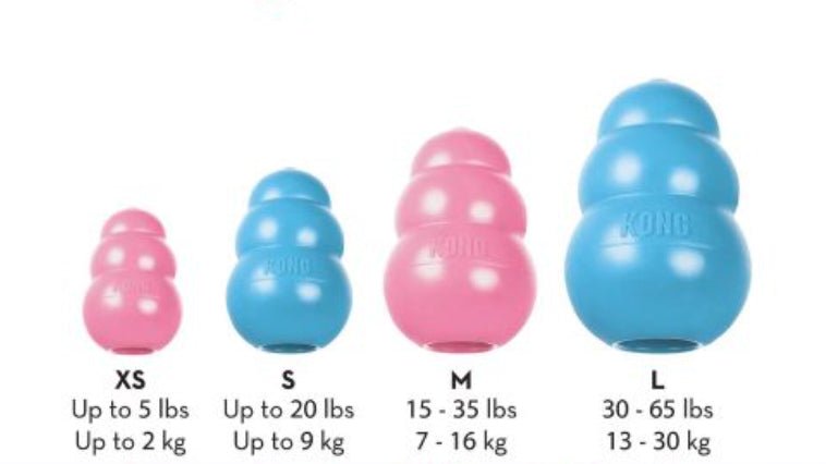 KONG Puppy Dog Toy - Pets Drug Mart