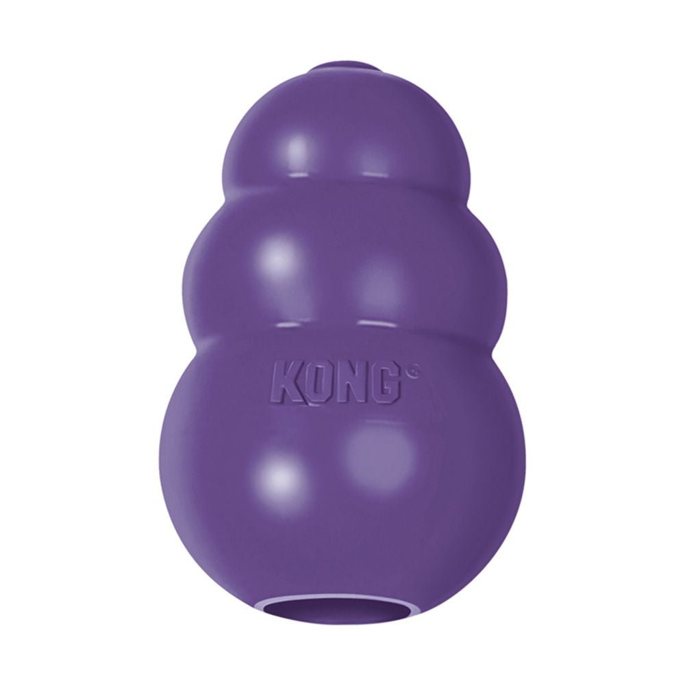 KONG Senior Dog Toy - Pets Drug Mart
