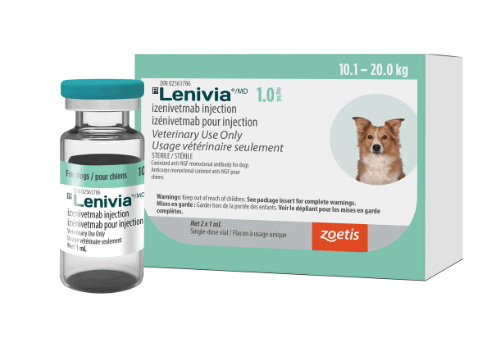 Lenivia (izenivetmab) 1 mg/mL Injection - Pets Drug Mart