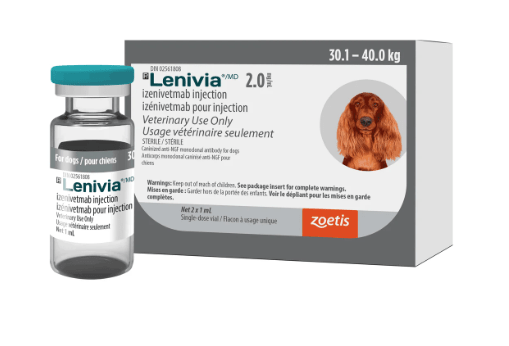 Lenivia (izenivetmab) 2 mg/mL Injection - Pets Drug Mart