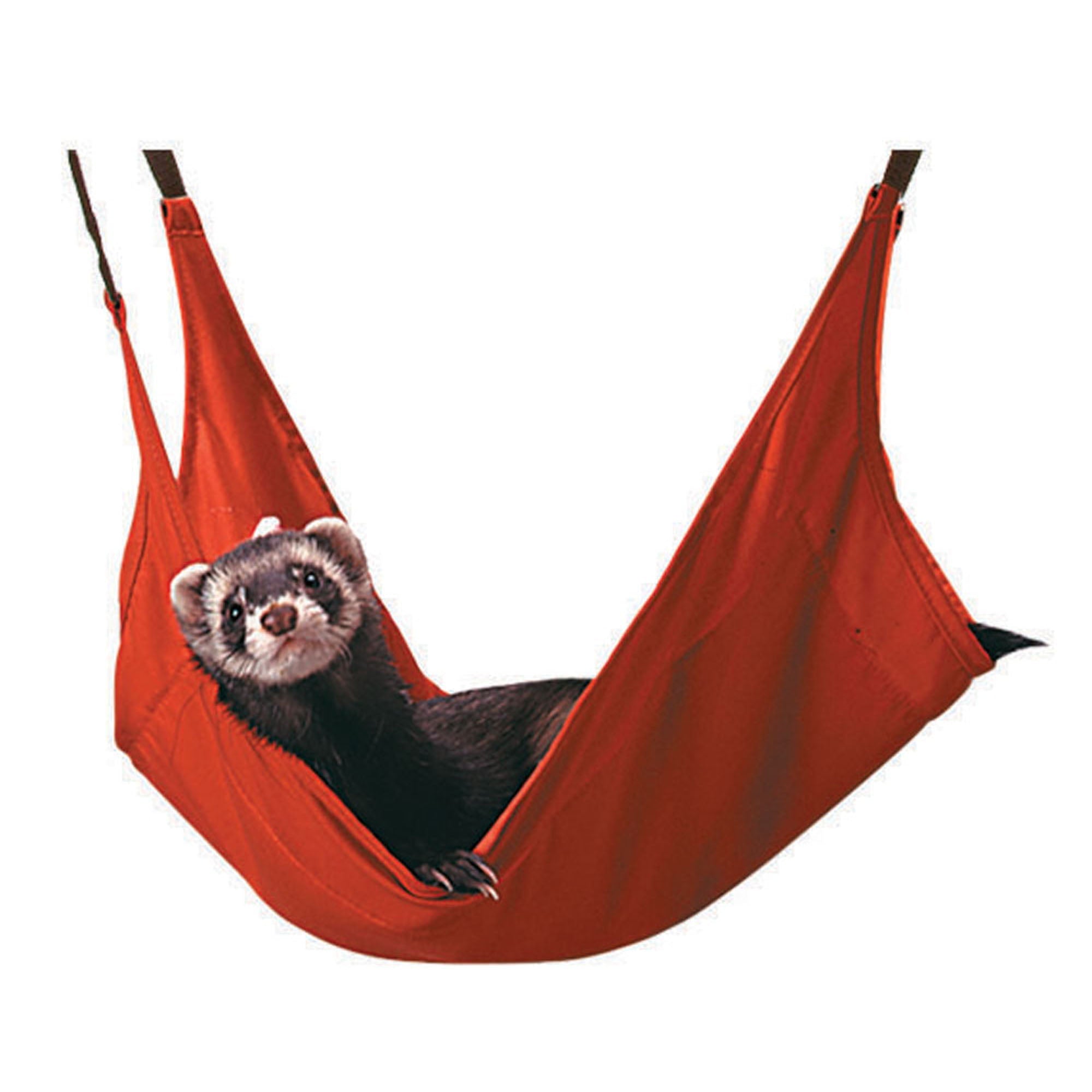 Marshall Ferret Leisure Lounge - Pets Drug Mart