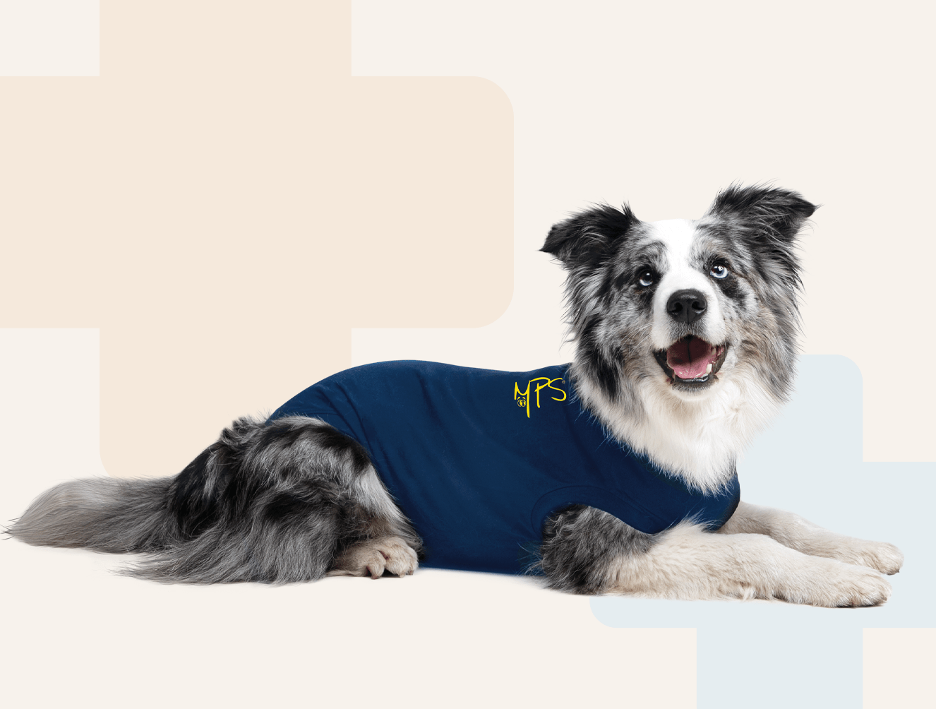 MPS Medical Pet Shirt For Dogs Blue - Pets Drug Mart