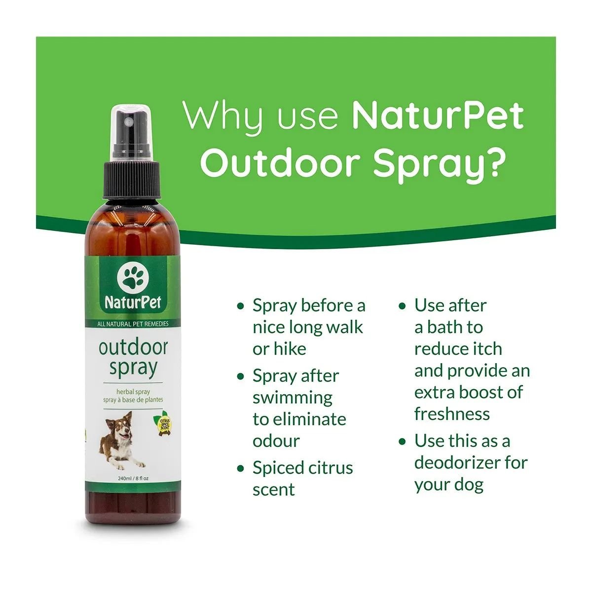 NaturPet Outdoor Deodorizer Spray For Dogs - Pets Drug Mart