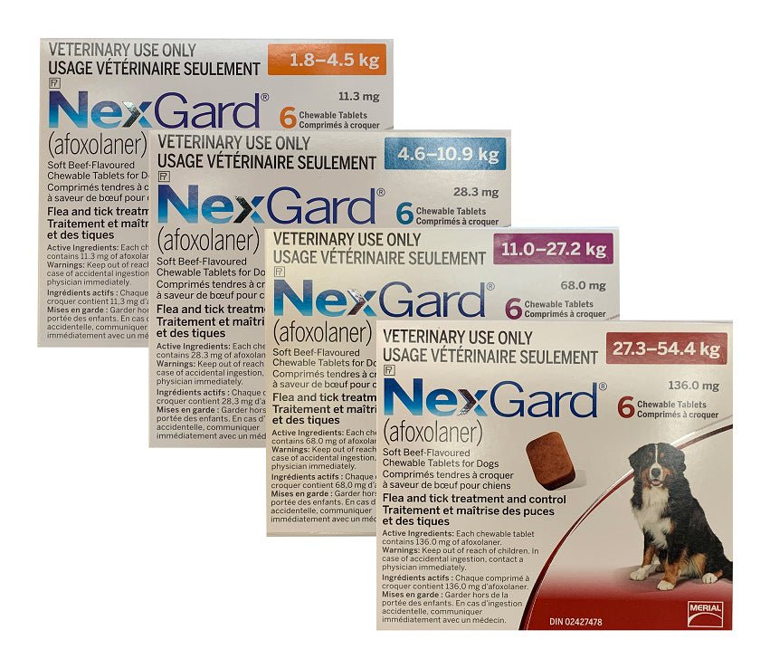 NexGard (afoxolaner) Chewable Tablet For Dogs 27.3 To 54.4 Kg (Red) - Pets Drug Mart