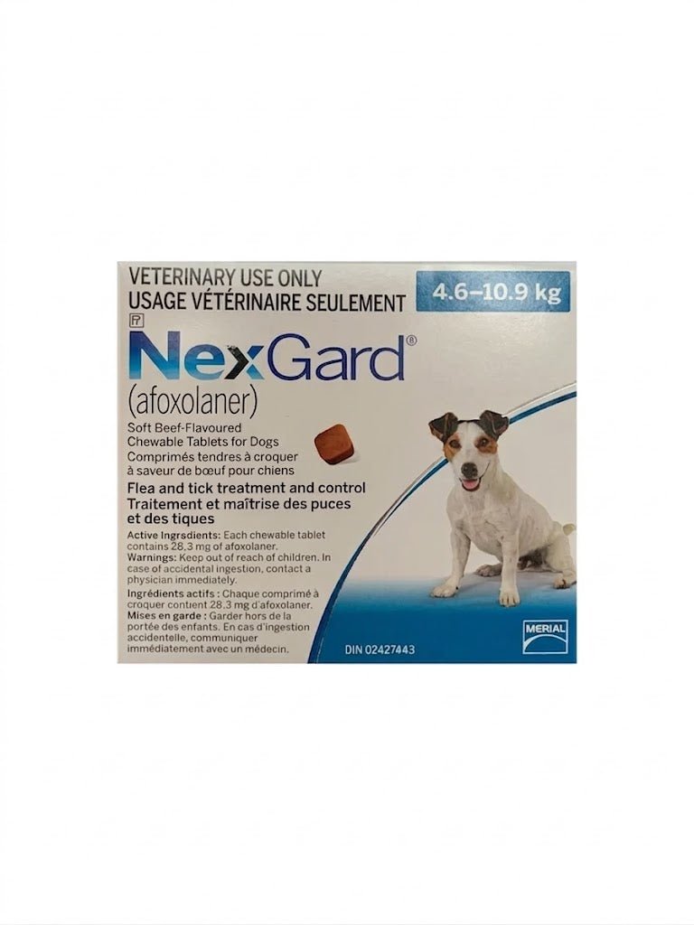 NexGard (afoxolaner) Chewable Tablet For Dogs 4.6 To 10.9 Kg (Blue) - Pets Drug Mart