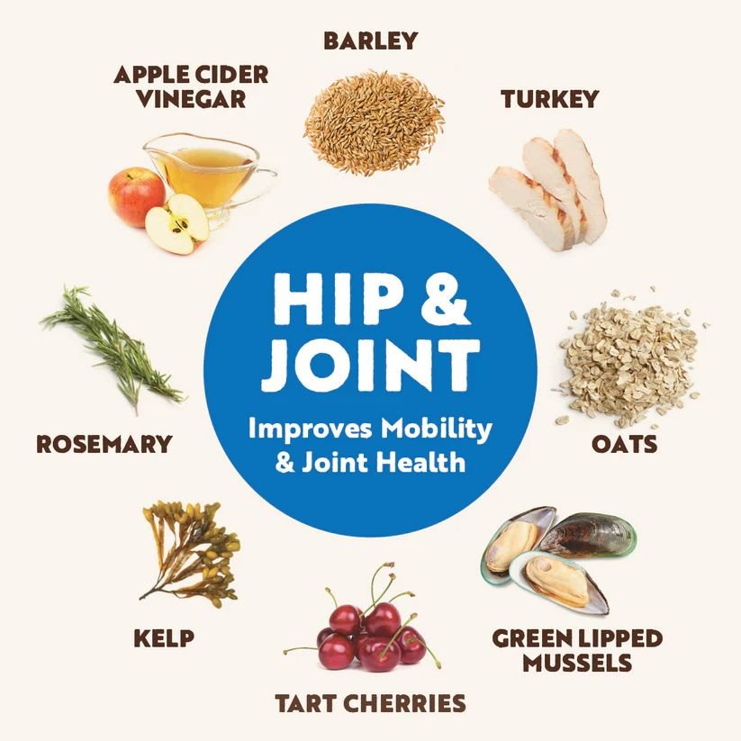 Northern Biscuits Hip & Joint Mobility Functional Treat for Dogs - Pets Drug Mart