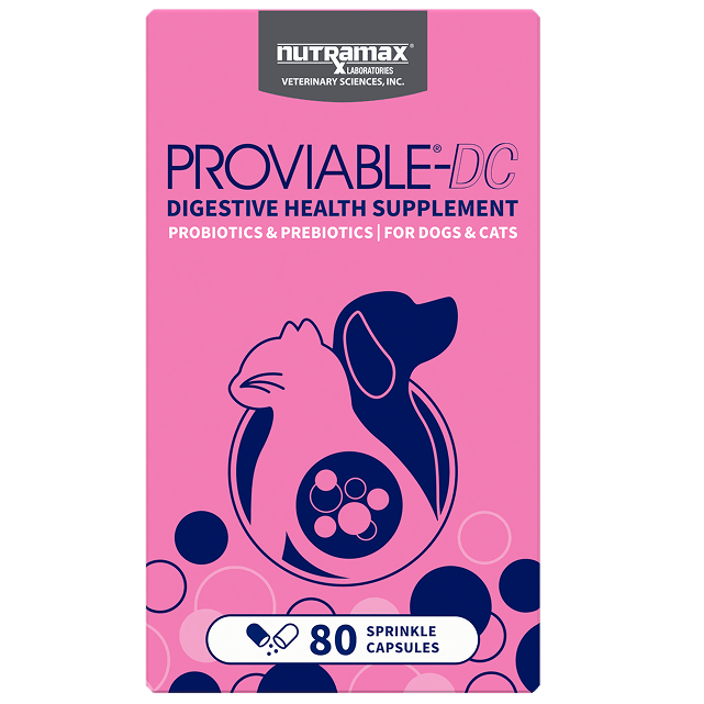 Nutramax Proviable - DC Digestive Health Supplement Capsules - Pets Drug Mart