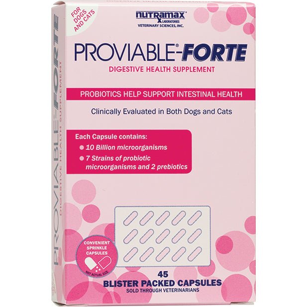 Nutramax Proviable - Forte Digestive Health Supplement Capsules - Pets Drug Mart