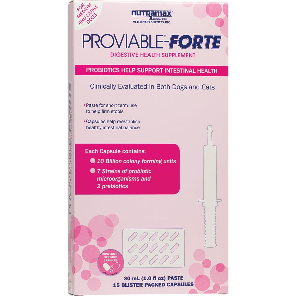 Nutramax Proviable - Forte Digestive Health Supplement Kit - Pets Drug Mart
