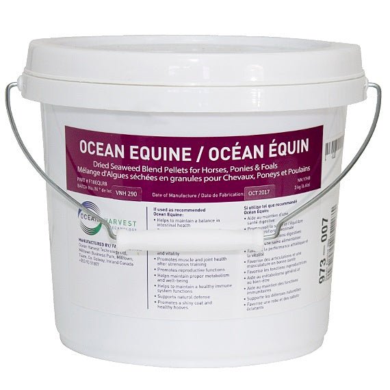 Ocean Equine Supplement For Horses - Pets Drug Mart
