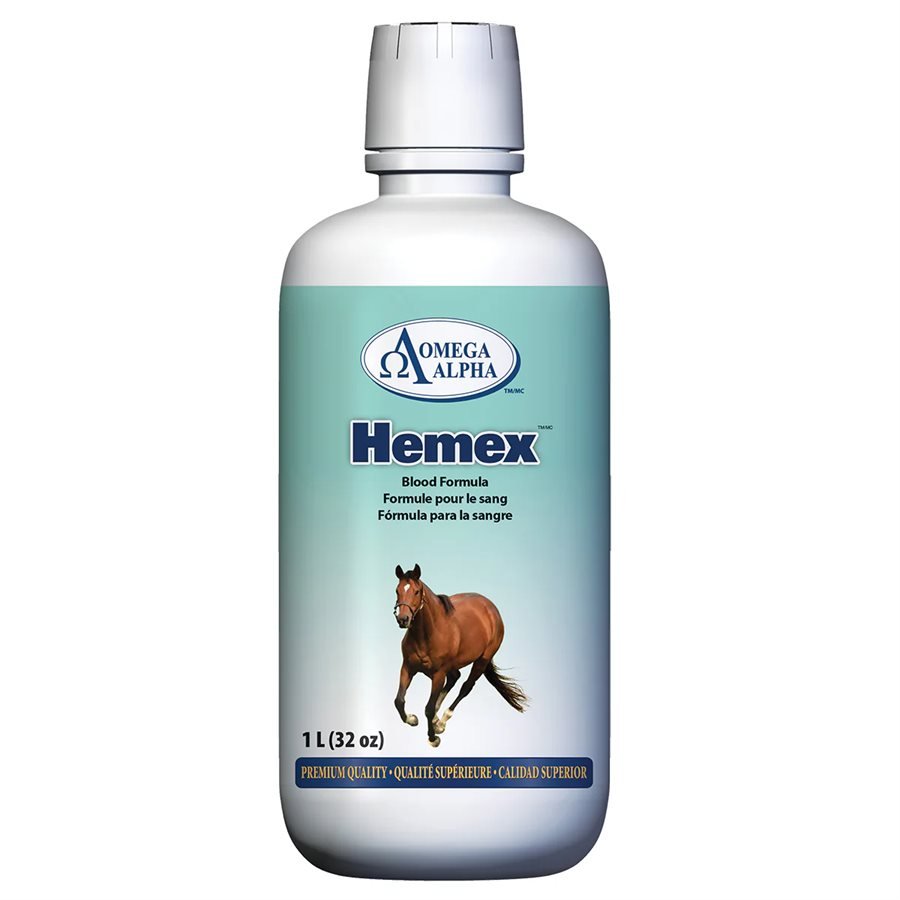 Omega Alpha Equine Hemex Supplement For Horses - Pets Drug Mart