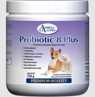 Omega Alpha Probiotic 8 Plus Supplement For Cats & Dogs - Pets Drug Mart