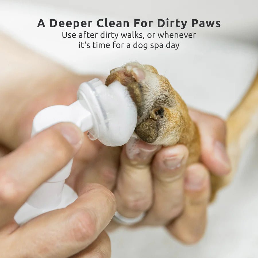 PAWz Paw Cleaning Foam - Pets Drug Mart