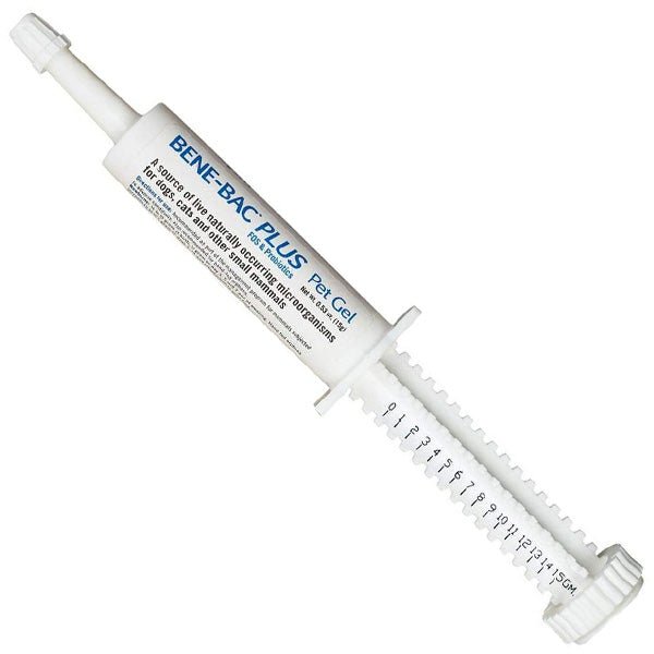 PetAg Bene - Bac Plus Gel Syringe For Multi - Animal - Pets Drug Mart