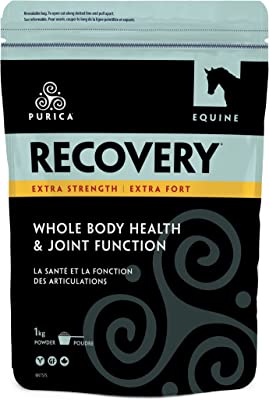 Purica Equine Recovery Extra Strength - Pets Drug Mart