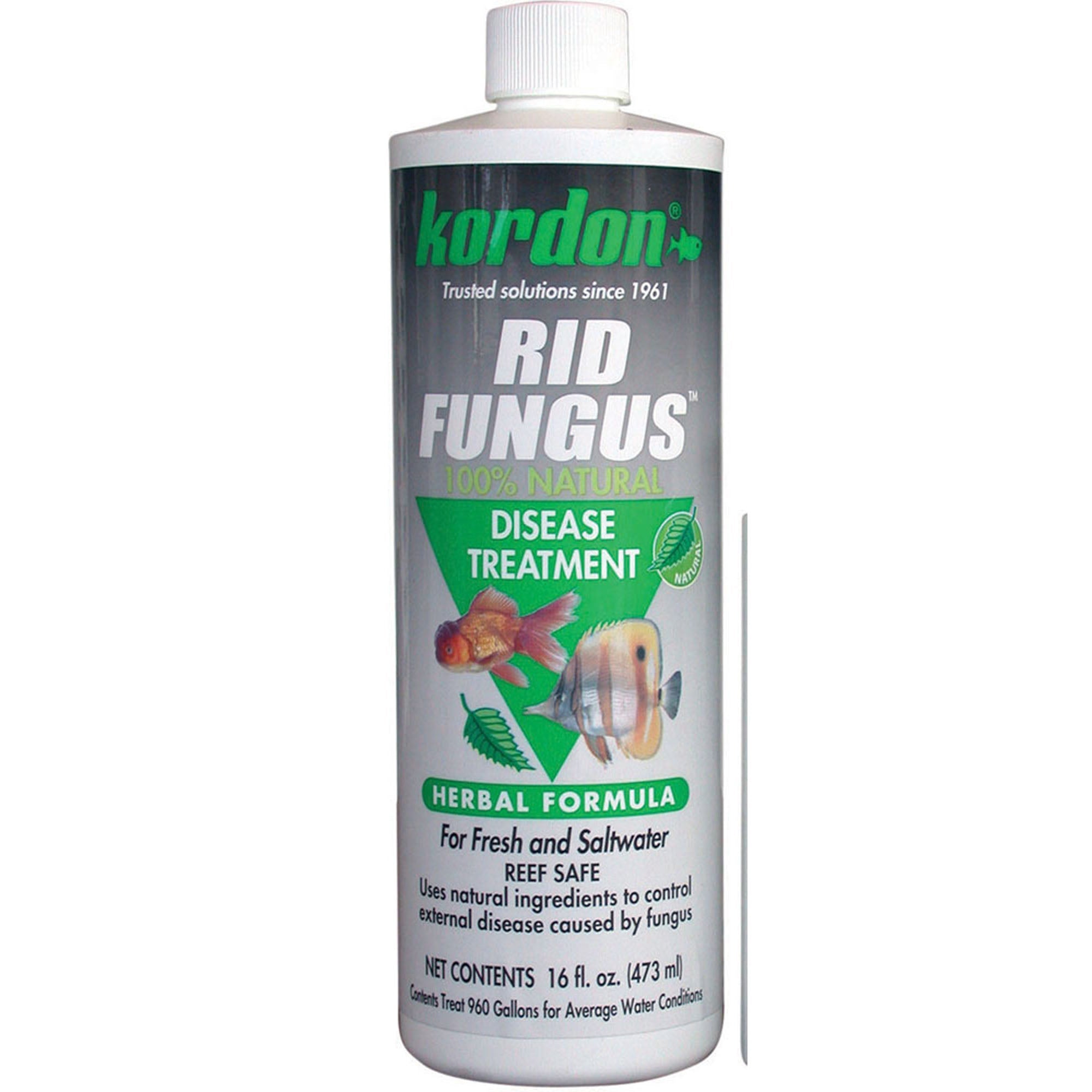 Rid Fungus Disease Treatment For Fresh & Salt Water - Pets Drug Mart