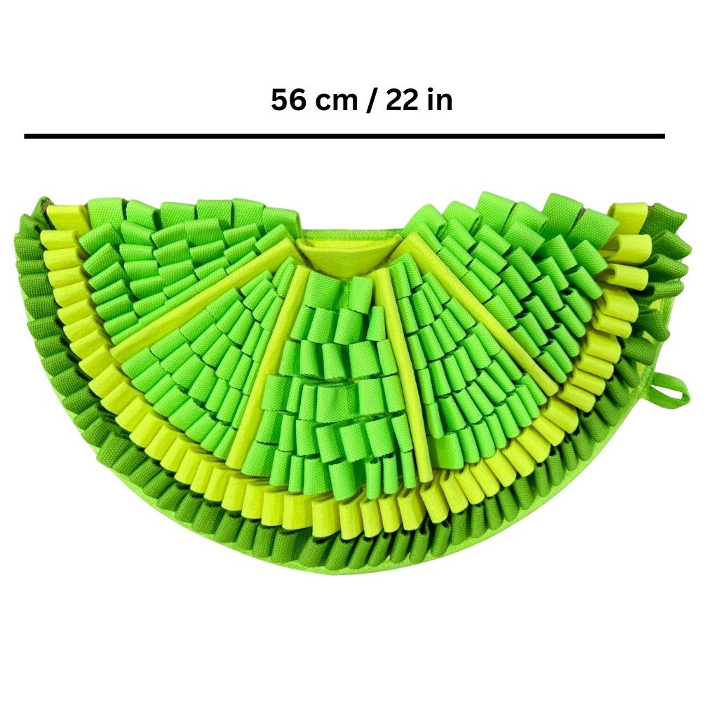 Snuffle Mat For Dogs Challenge Level 2 Zesty (Lime) - Pets Drug Mart