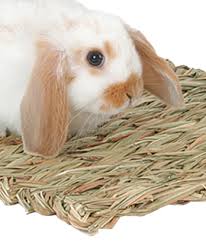 Timothy Club Hay Mat - Pets Drug Mart