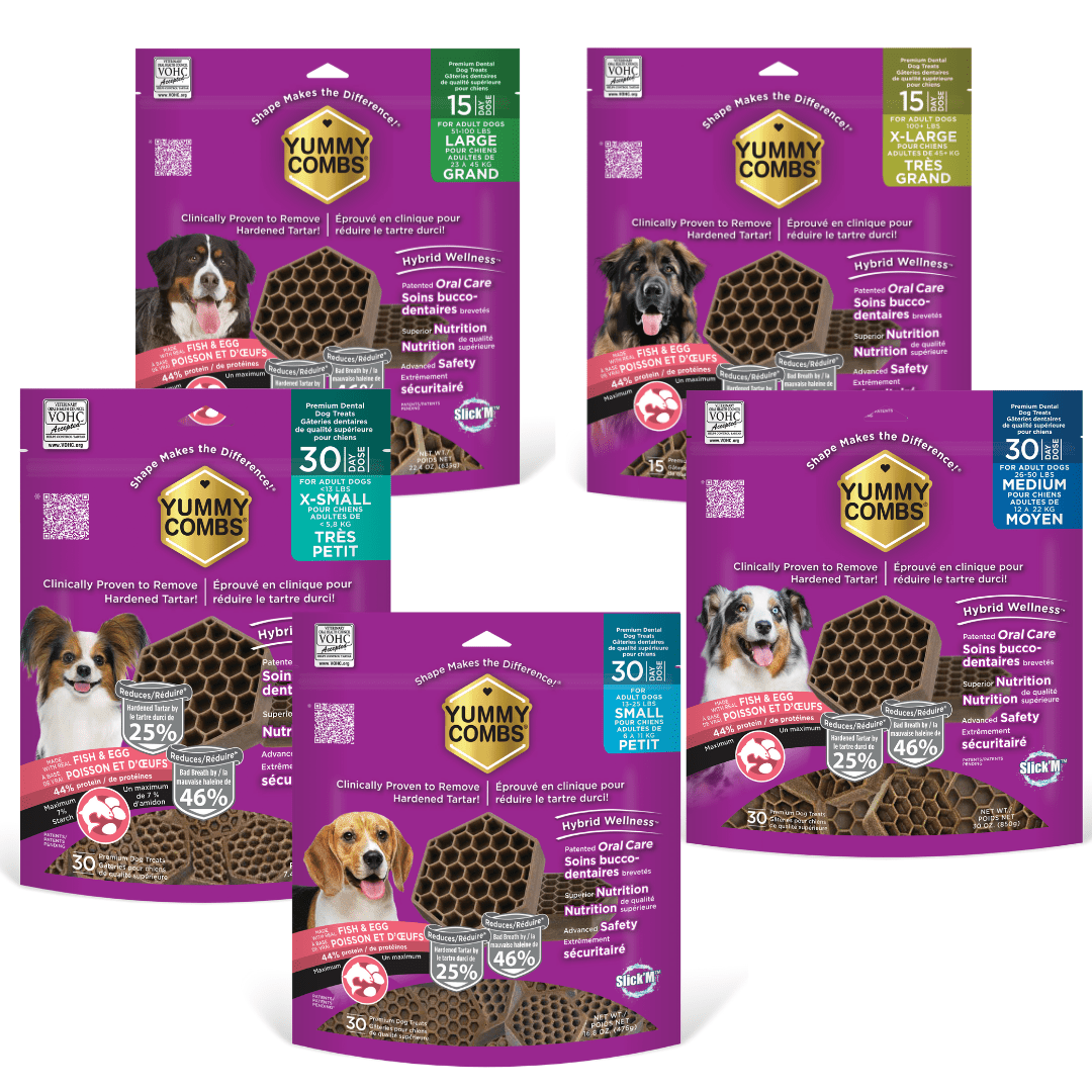 Yummy Combs Chicken Flavoured Flossing Dental Treats - Pets Drug Mart