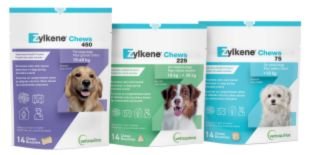 Zylkene Behaviour Supplement Chews For Dogs - Pets Drug Mart