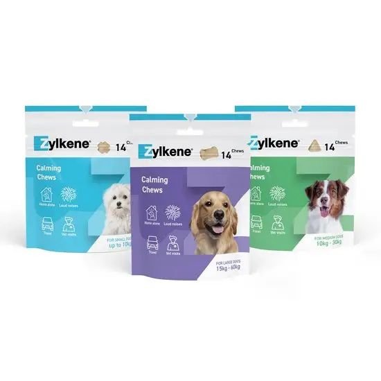 Zylkene Behaviour Supplement Chews For Dogs - Pets Drug Mart