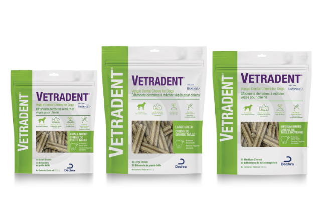 129722_Dogs_Vetradent Veggie Dental Chew_Small Breed - Pack of 30