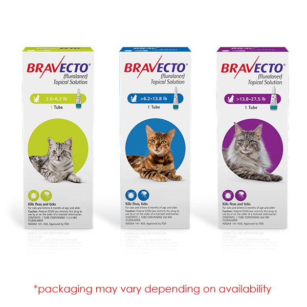 Buy Bravecto Topical Solution for Cats