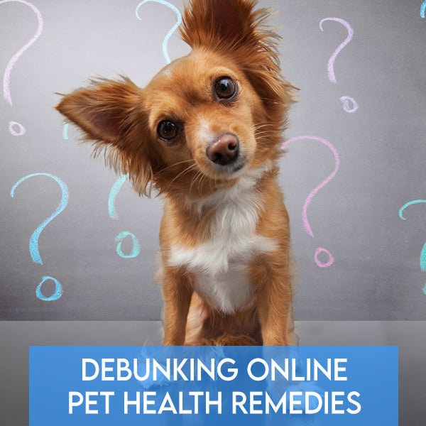 Debunking Online Pet Health Remedies: Know Fact From Fiction Part 1 - Pets Drug Mart