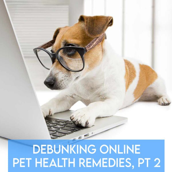 Debunking Online Pet Health Remedies: Know Fact From Fiction Part 2 - Pets Drug Mart