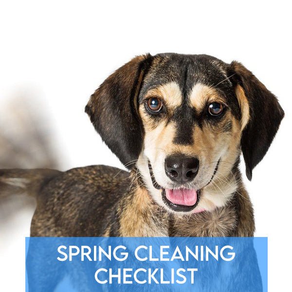 Spring Cleaning Checklist: Make Your Dog's Tail Wag with Joy! - Pets Drug Mart