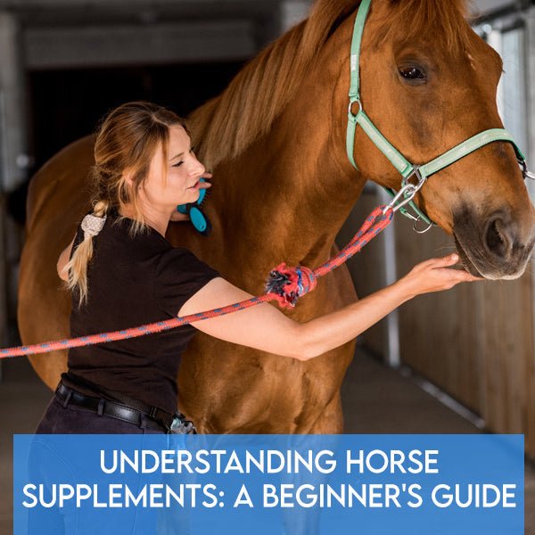 Understanding Horse Supplements: A Beginner's Guide - Pets Drug Mart