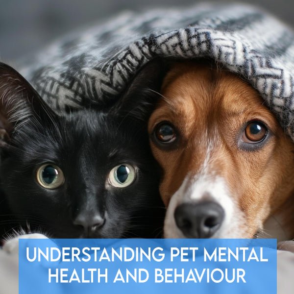 Understanding Pet Mental Health and Behaviour: Tips for a Happier, Healthier Pet - Pets Drug Mart