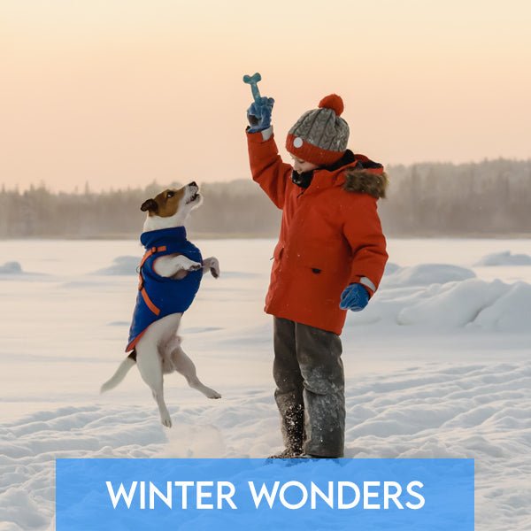 Winter Wonders: Essential Products to Keep Your Pet Happy and Healthy - Pets Drug Mart