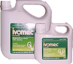 Ivomec (Ivermectin) Drench For Sheep