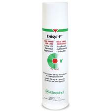 Enisyl-F L-Lysine HCI Oral Paste For Cats 100 mL - %Single%