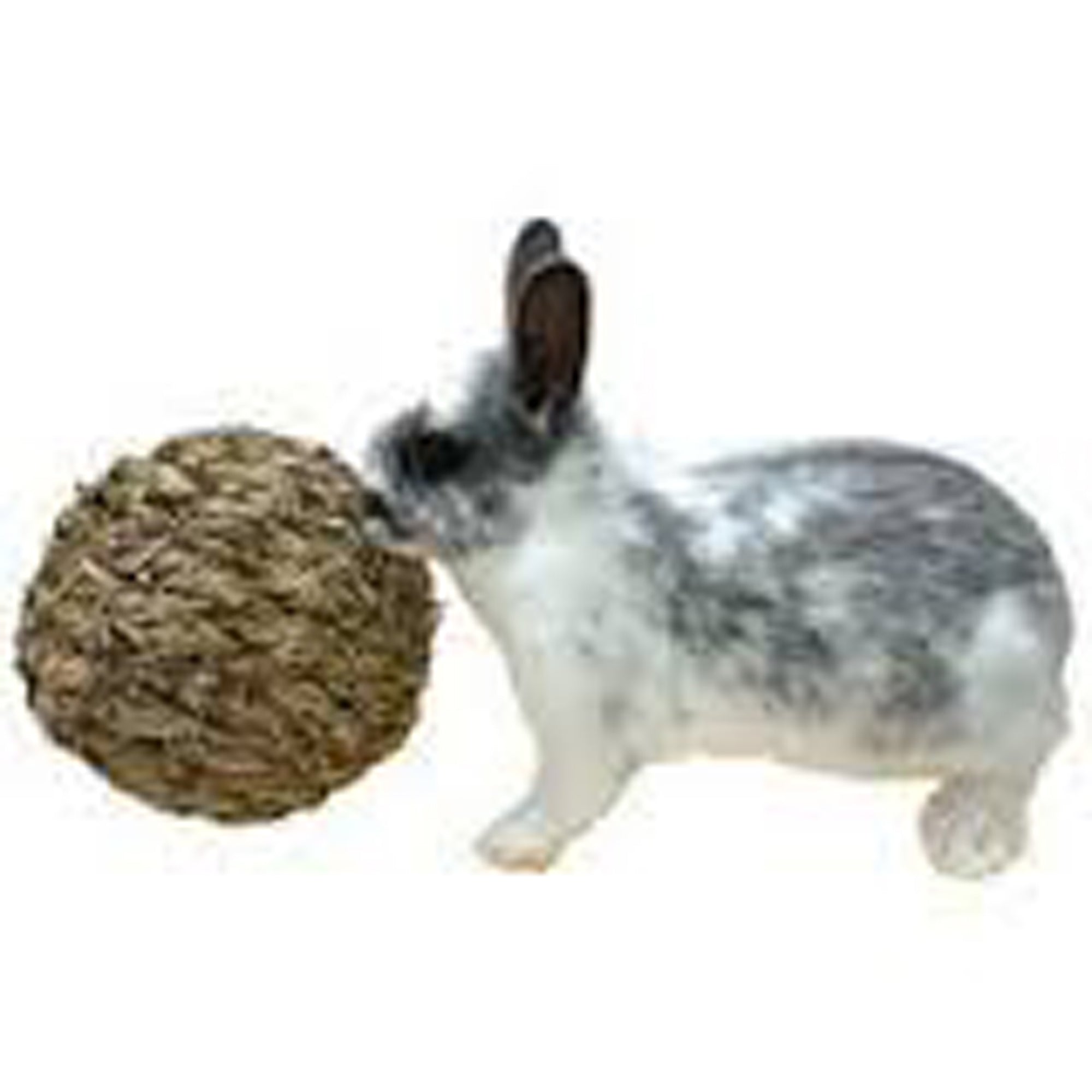 Marshall Woven Grass Play Ball