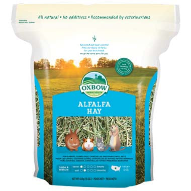 Alfalfa Hay