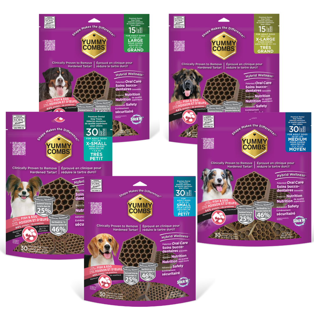 Yummy Combs Chicken Flavoured Flossing Dental Treats