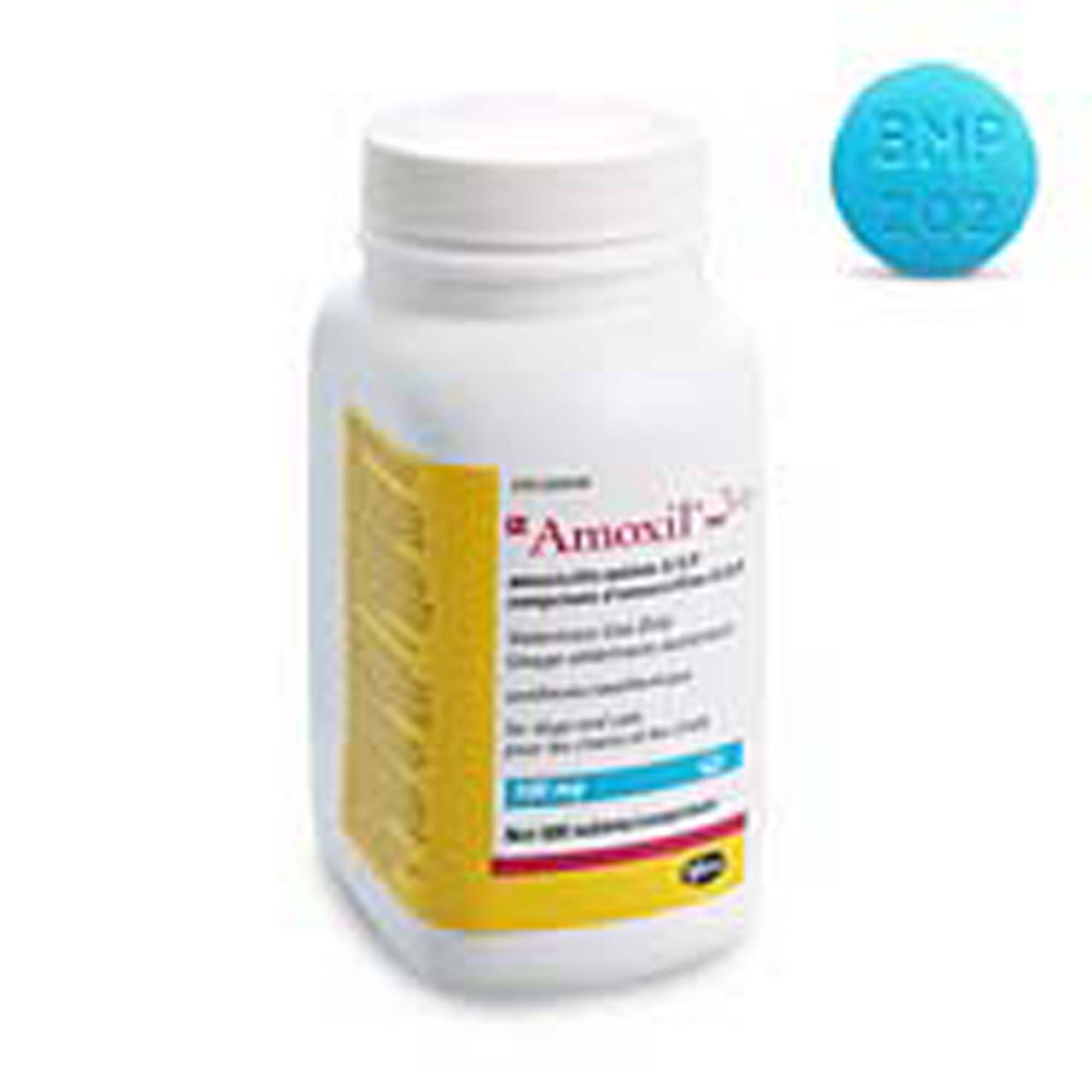 Amoxil Tablet