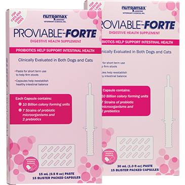 Proviable-Forte Digestive Health Supplement 15 Count