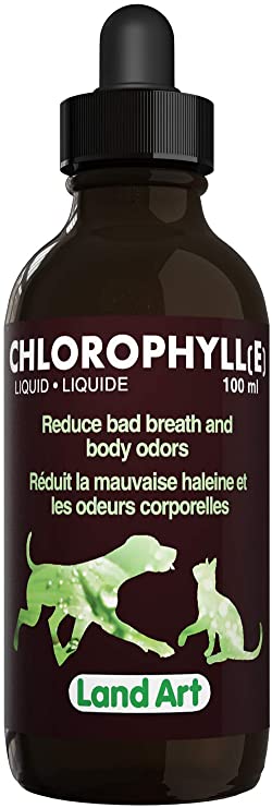 Chlorophyll Liquid Natural Supplement
