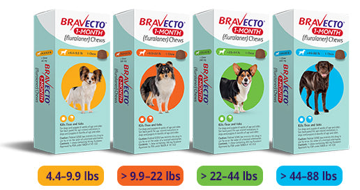 Bravecto 1-Month Chews For Dogs 4.6 to 10 Kg (Orange) - 1 Chew
