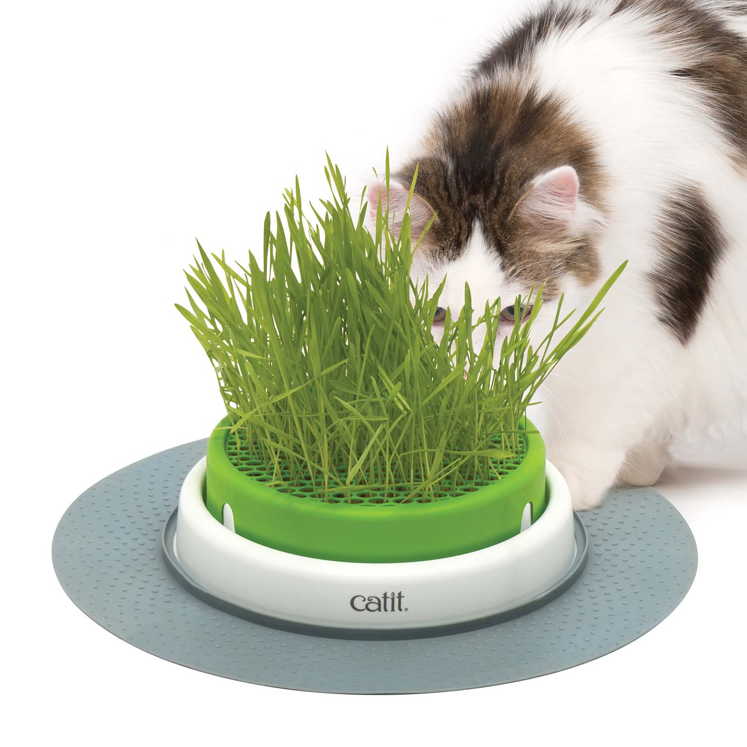Catit Senses Grass Planter For Cats - %Single%