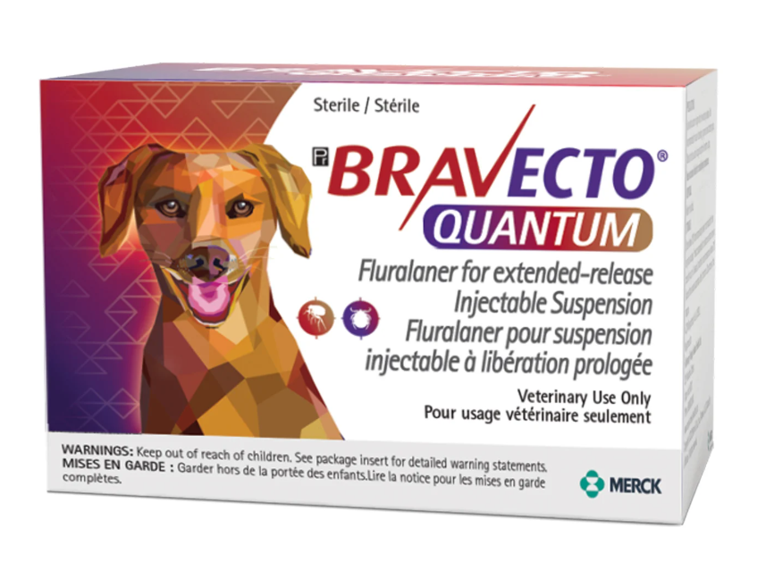 Bravecto Quantum Injectable Suspension