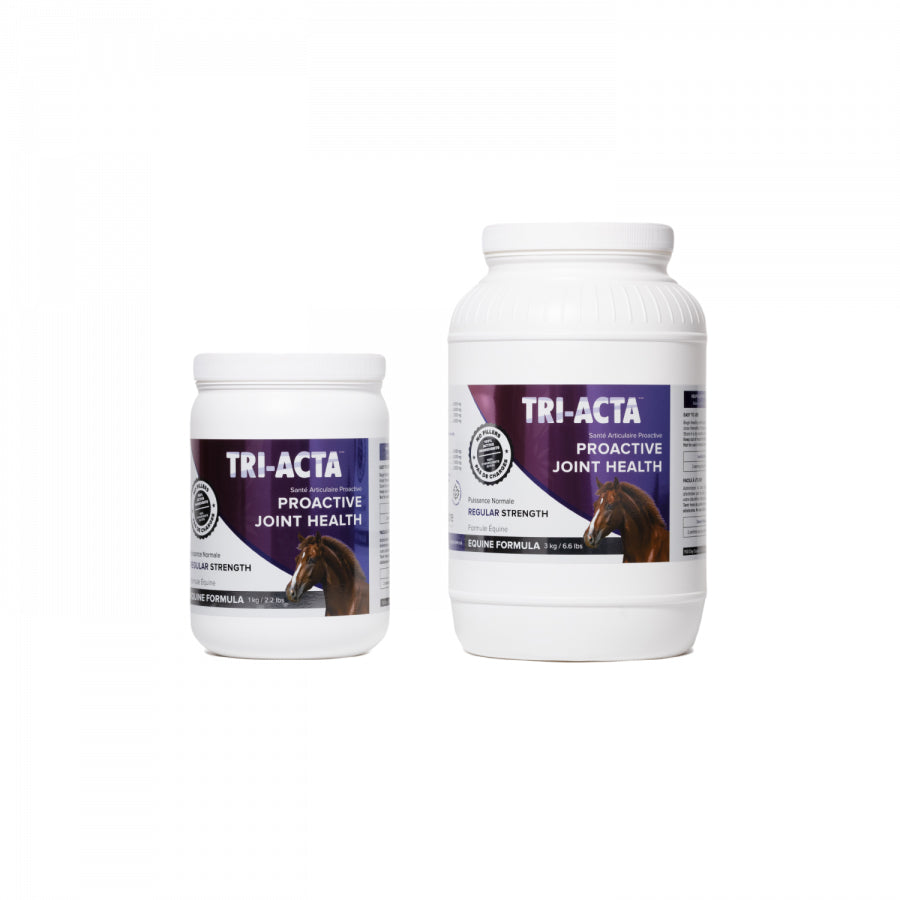 Tri-Actra Proactive Joint Health Supplement For Horses Regular Strength - 1 Kg